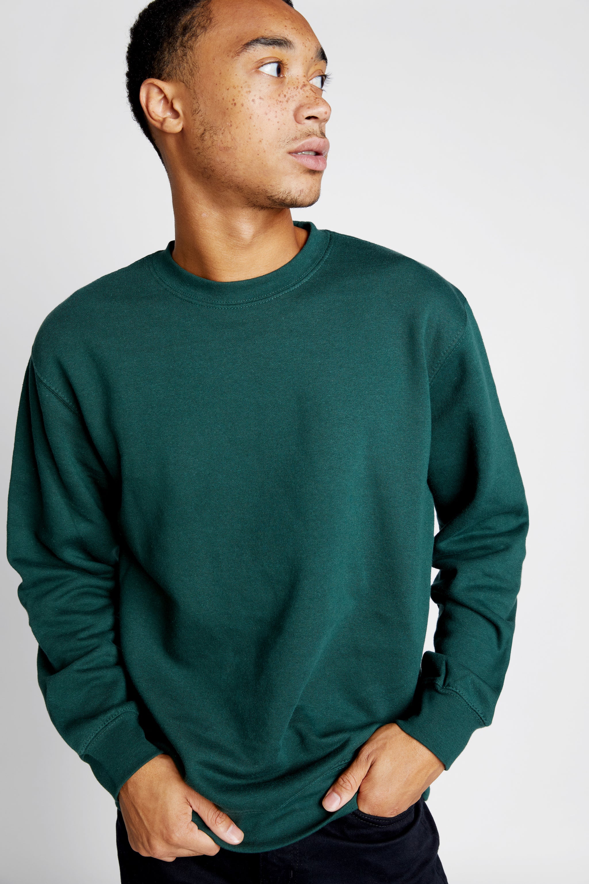 Premium Crewneck Sweatshirt – Lane Seven Apparel